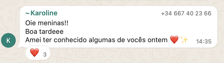 WhatsApp feedback 4 - Grupo G.I.N.G.A