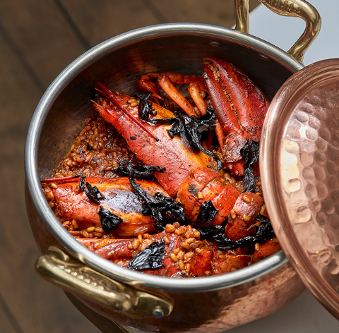 Foto de Lobito de Mar